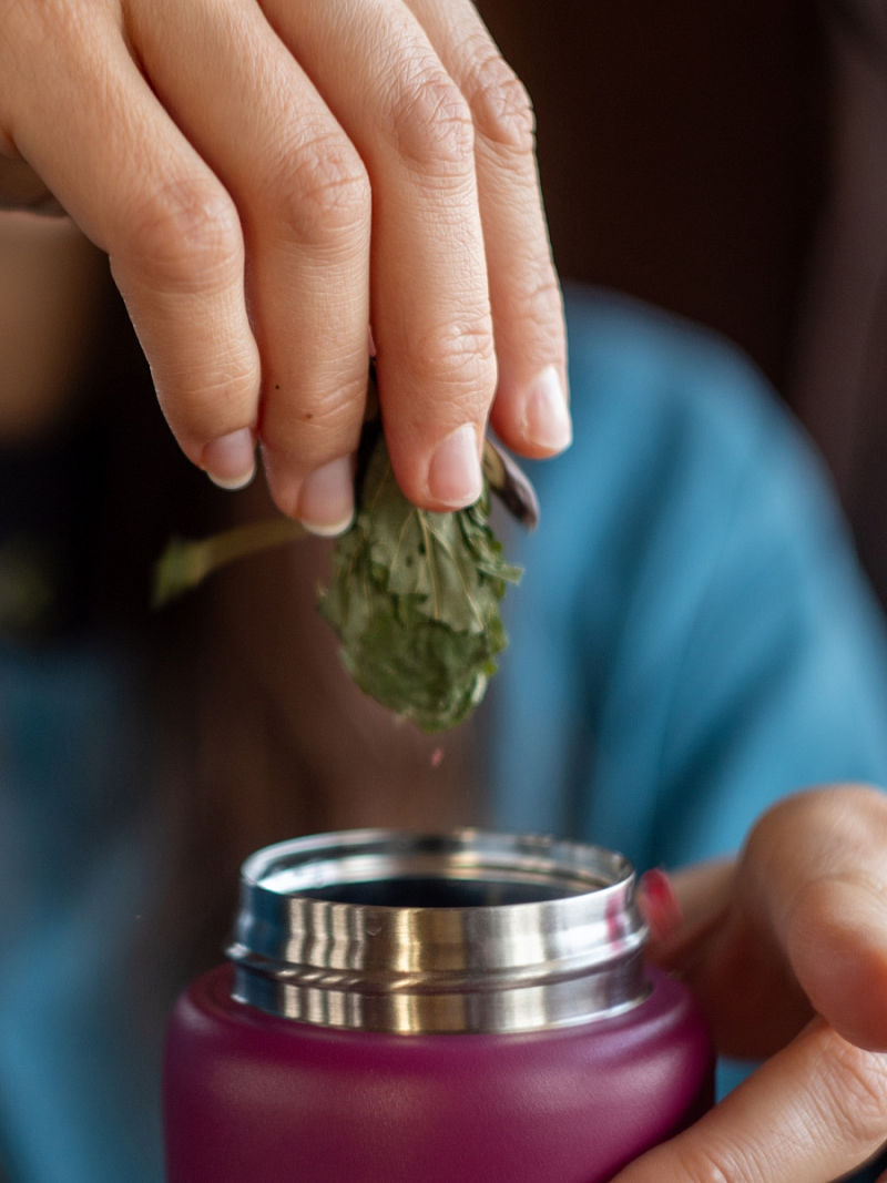 Термокружка 0.75л серии 702 «Сититерм» «Вишня» с ситечком (уценка) - 6