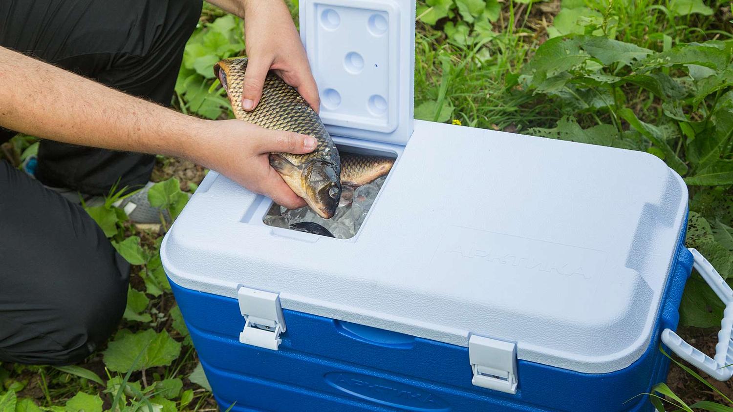 В термоконтейнере на 40 литров есть окошко быстрого доступа — не нужно открывать контейнер полностью.
